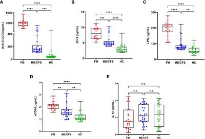 Increased gut permeability and bacterial translocation are associated with fibromyalgia and myalgic encephalomyelitis/chronic fatigue syndrome: implications for disease-related biomarker discovery